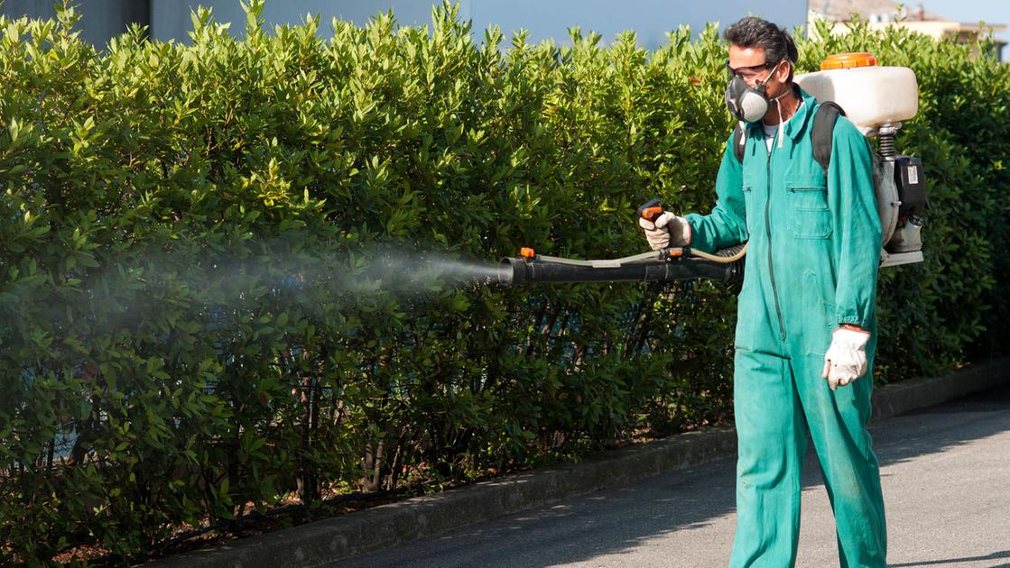 Secondo caso di Dengue a Arezzo in 48 ore.