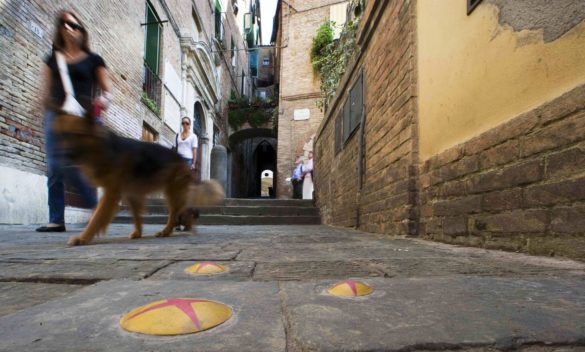 Siena: la memoria rivive sulle pietre d'inciampo - intoscana