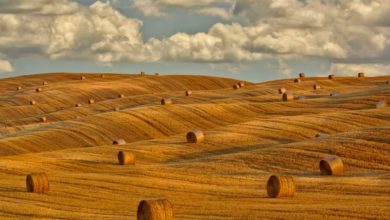 Temperature in Siena to fluctuate from summer heat to six degrees at night