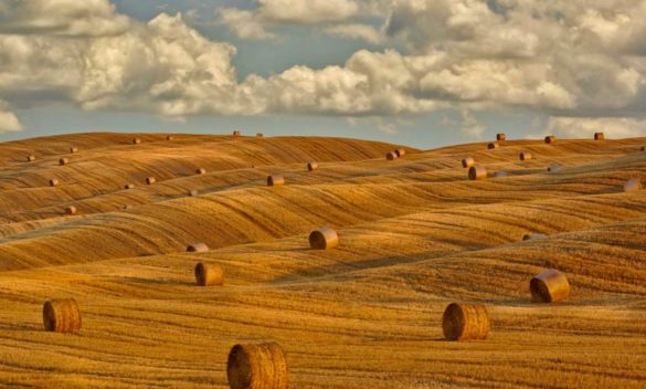 Temperature in Siena to fluctuate from summer heat to six degrees at night