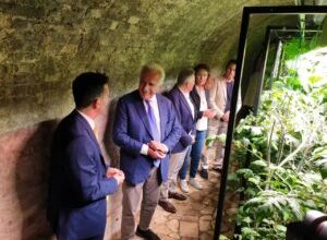 Torrita di Siena, Tunnel Farm aperta al pubblico - Il Cittadino Online