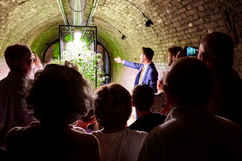 Tunnel Farm a Torrita di Siena