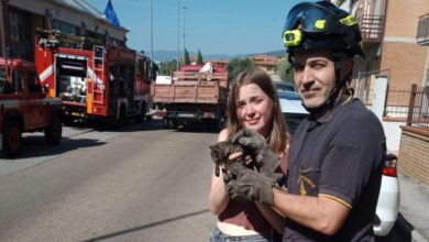 Vigili del fuoco salvano gattino bloccato nel tubo di scarico