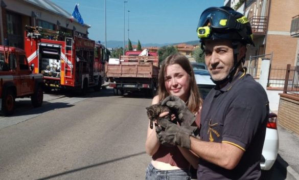 Vigili del fuoco salvano gattino bloccato nel tubo di scarico