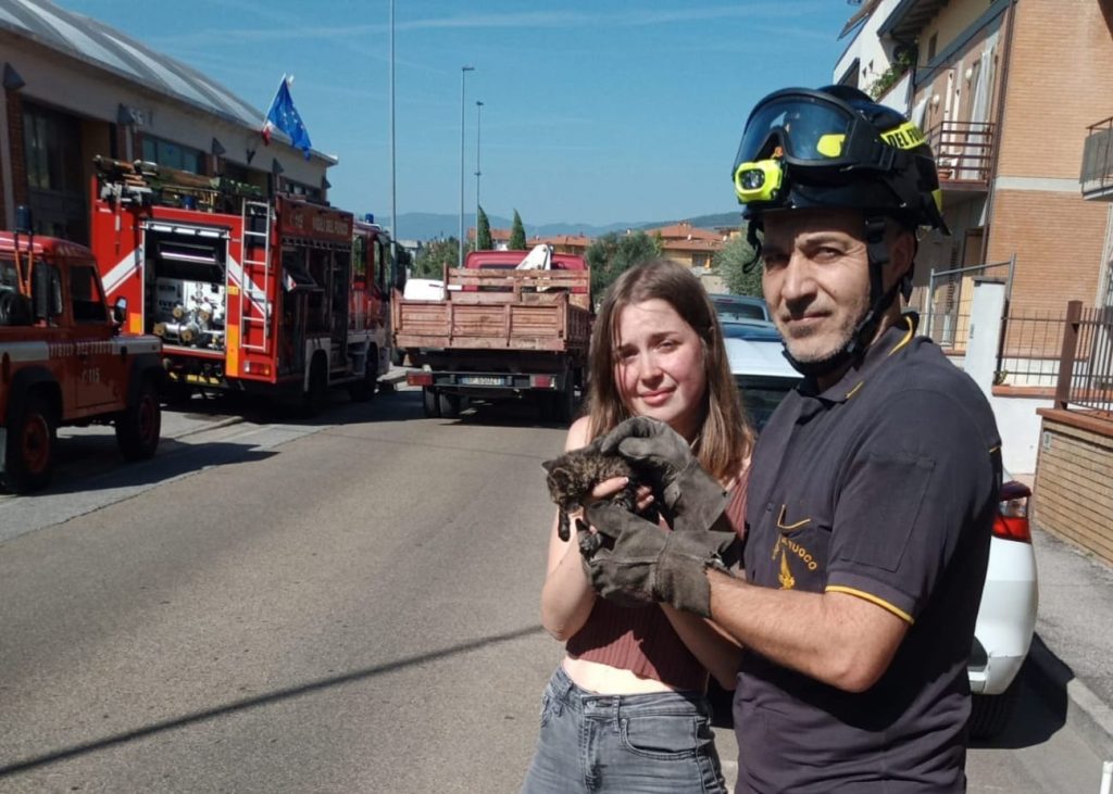 Vigili del fuoco salvano gattino bloccato nel tubo di scarico