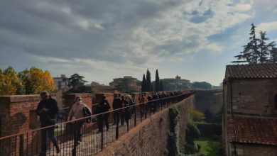 Visita unica di Pisa, scopri la città da terra e dall'Arno!