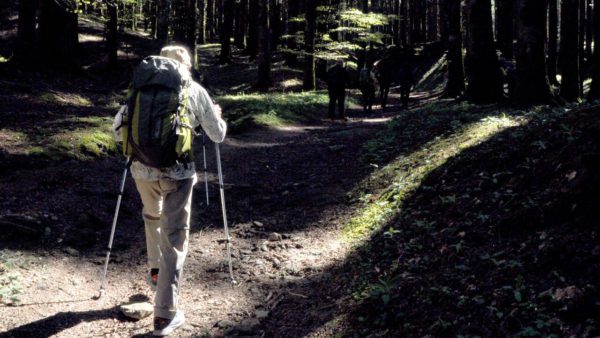 Esplorando la Foresta di Camaldoli con Giuseppe Cederna: Un'esperienza teatrale a contatto con la natura