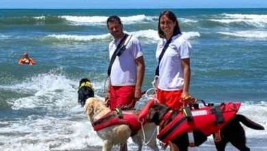 Una giornata con il bagnino canino, inclusione per tutti al mare