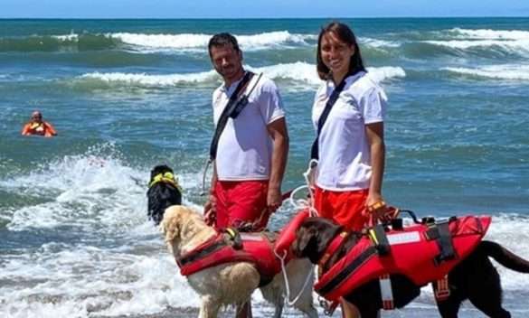 Una giornata con il bagnino canino, inclusione per tutti al mare