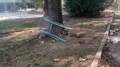 Degrado e incuria al parco Bella di Mai a Pontedera: denuncia di Fratelli d'Italia.