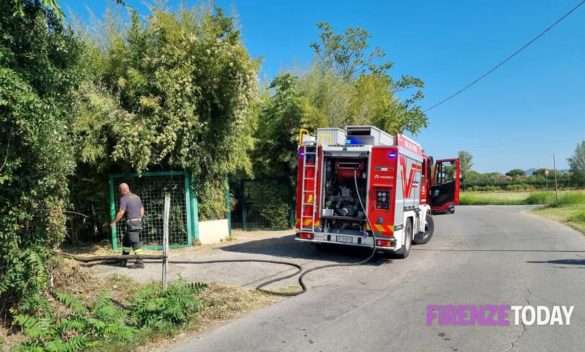 Incendio a Campi Bisenzio distrugge terreno agricolo (FOTO)