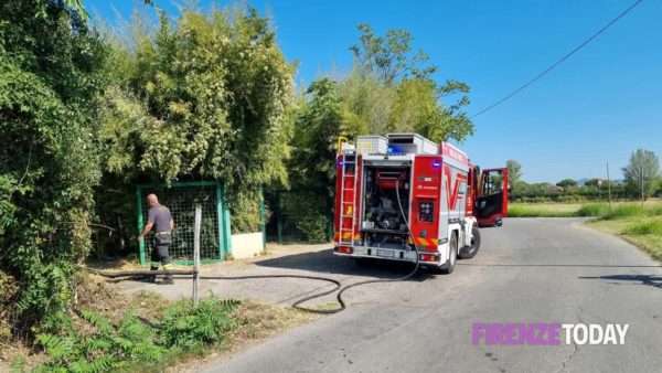 Incendio a Campi Bisenzio distrugge terreno agricolo (FOTO)