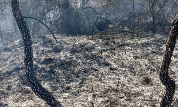 Rischio incendi: riprendono gli abbruciamenti da oggi