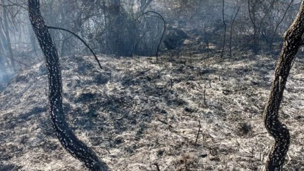 Rischio incendi: riprendono gli abbruciamenti da oggi