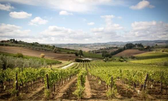 Prenotazioni agriturismi in aumento, raggiungono ottobre