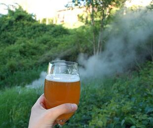 20 ottobre, a Pisa, La Botanica della Birra in esclusiva.