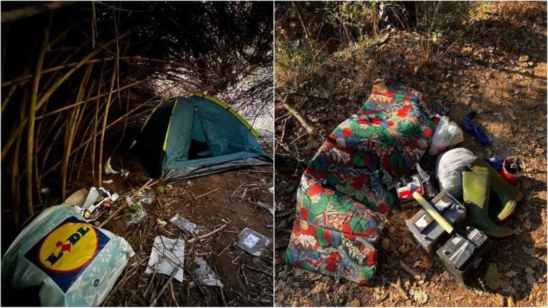 Accampamenti degli spacciatori emergono nei boschi.