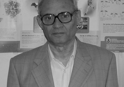 Addio a Renzo Rossi, insegnante di Chimica per tre decenni all'Università di Pisa