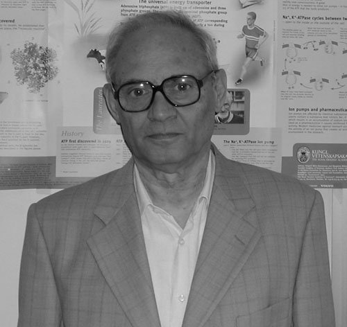 Addio a Renzo Rossi, insegnante di Chimica per tre decenni all'Università di Pisa