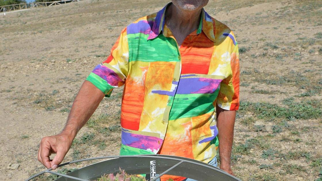 Addio ad Andrea Dami, cerimonia funebre domani.