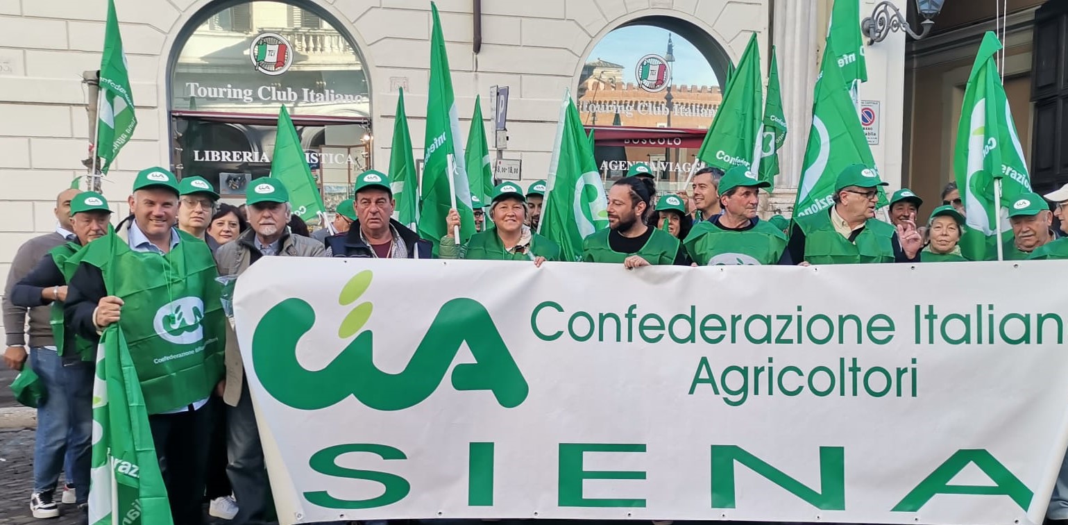 Agricoltori senesi manifestano a Roma denunciando prezzi elevati e impoverimento | RadioSienaTv