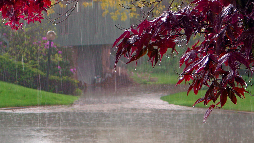 Meteo instabile con piogge e temporali venerdì.