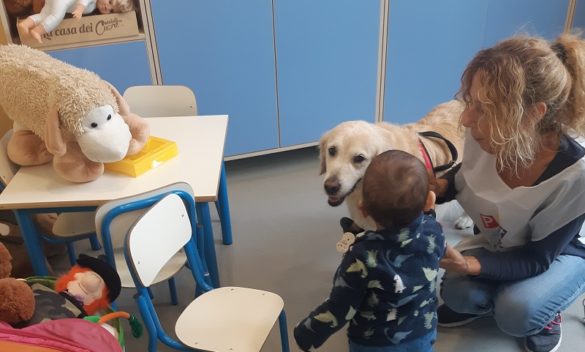 Andy e Achille, cani terapeutici per bambini, una storia emozionante al San Jacopo .