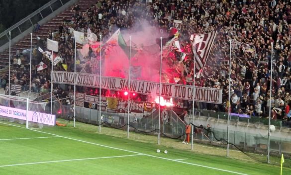 Arezzo-Cesena 0-1, sorriso ospite, delusione per i padroni di casa