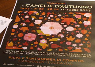 Camelie d'autunno e Slow Beans, un connubio sorprendente.