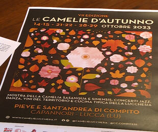 Camelie d'autunno e Slow Beans, un connubio sorprendente.