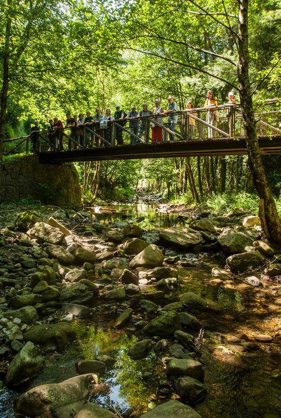 Cammini acqua Parco Letterario Policarpo Petrocchi, escursione emozionante.