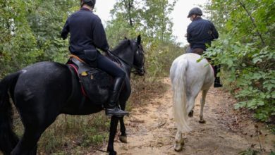 Carabinieri a cavallo bloccano fuggitivo inseguito
