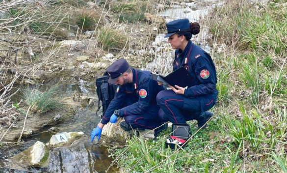 Carabinieri forestali a Siena, Multe oltre 102mila euro, 10 denunciati (2023) - Siena News