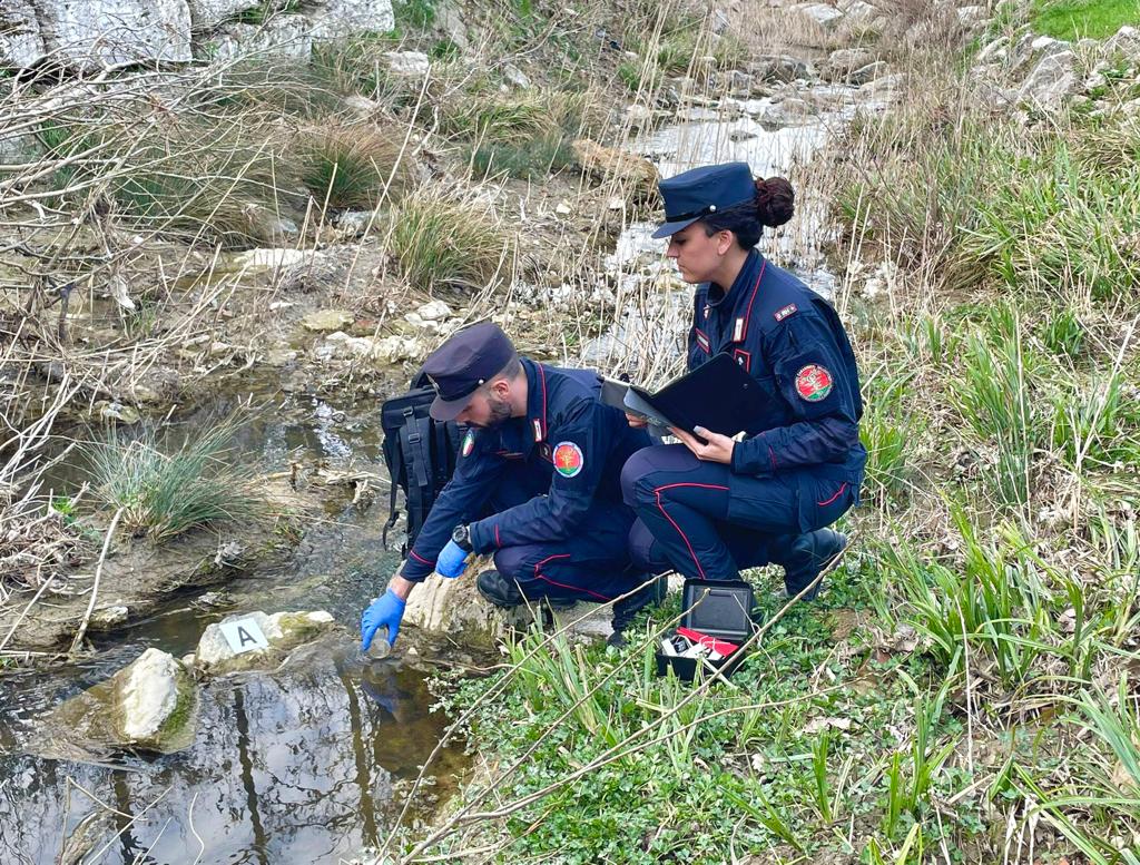 Carabinieri forestali a Siena, Multe oltre 102mila euro, 10 denunciati (2023) - Siena News