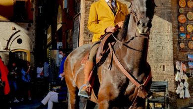 Carlo Barberi, oltre 100 cavalli a Siena per "A scuola di cuore"