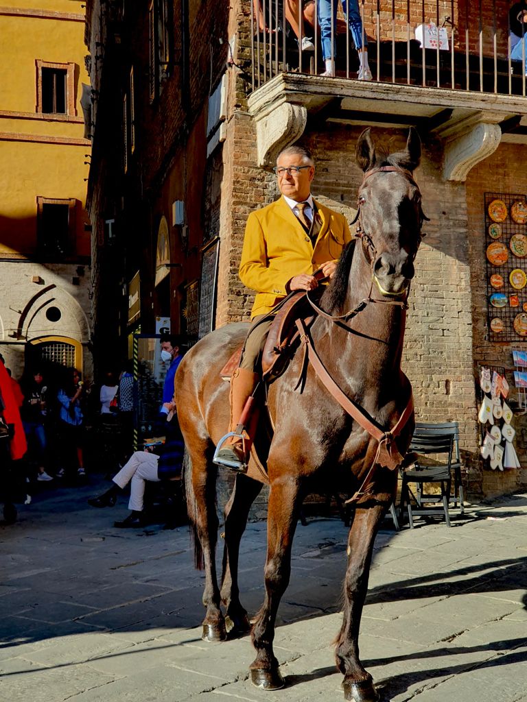 Carlo Barberi, oltre 100 cavalli a Siena per "A scuola di cuore"