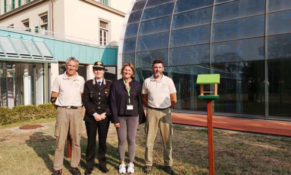 Cinque mangiatoie ospedale Meyer per uccellini, la cura si estende anche così - Il Gazzettino del Chianti