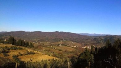 Comune di Greve offre 9 ettari per progetto di forestazione sul San Michele - Il Gazzettino del Chianti e delle colline fiorentine.