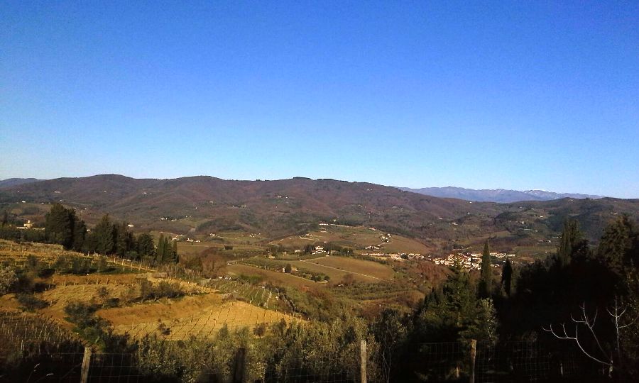 Comune di Greve offre 9 ettari per progetto di forestazione sul San Michele - Il Gazzettino del Chianti e delle colline fiorentine.