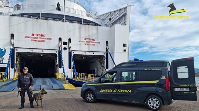 guardia di finanza porto