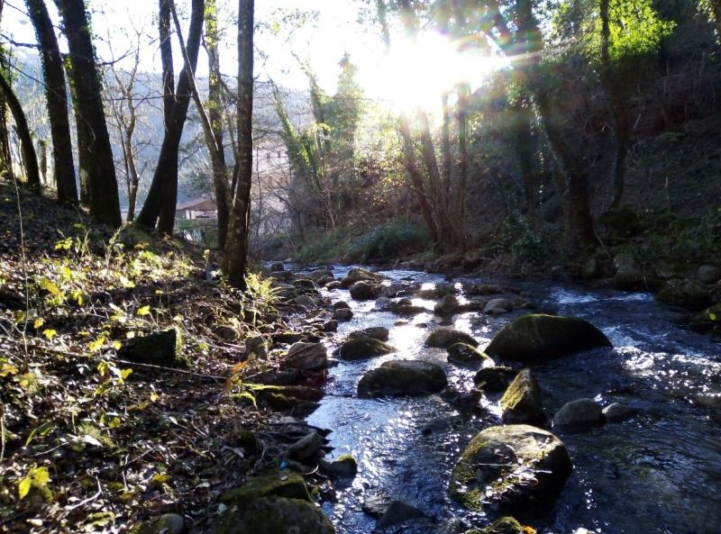 Concorso fotografico Obiettivo Acqua nel fiume Alto Valdarno.