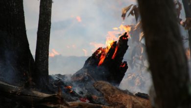 Divieto di abbruciamento dal 3 al 22 ottobre per siccità.