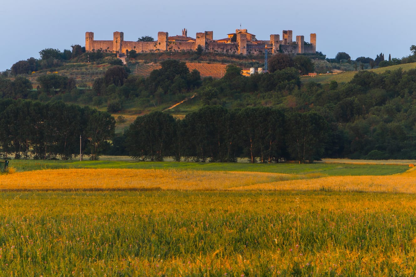 Domani a Monteriggioni, le buone pratiche di protezione civile - Siena News.