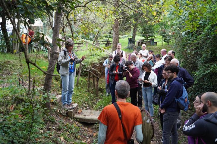 Domani torna il ‘MiniBioBlitz d’autunno’ al Bosco di Busseto di Siena, cittadini e naturalisti per lo studio della biodiversità urbana.