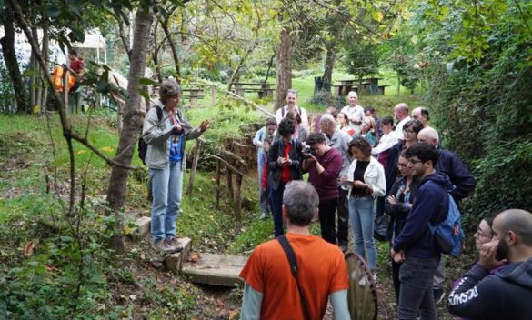Domani torna il ‘MiniBioBlitz d’autunno’ al Bosco di Busseto di Siena, cittadini e naturalisti per lo studio della biodiversità urbana.