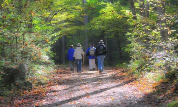 Domenica di trekking urbano con WWF Livorno per scoprire la città - Livorno Sera