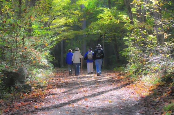 Domenica di trekking urbano con WWF Livorno per scoprire la città - Livorno Sera