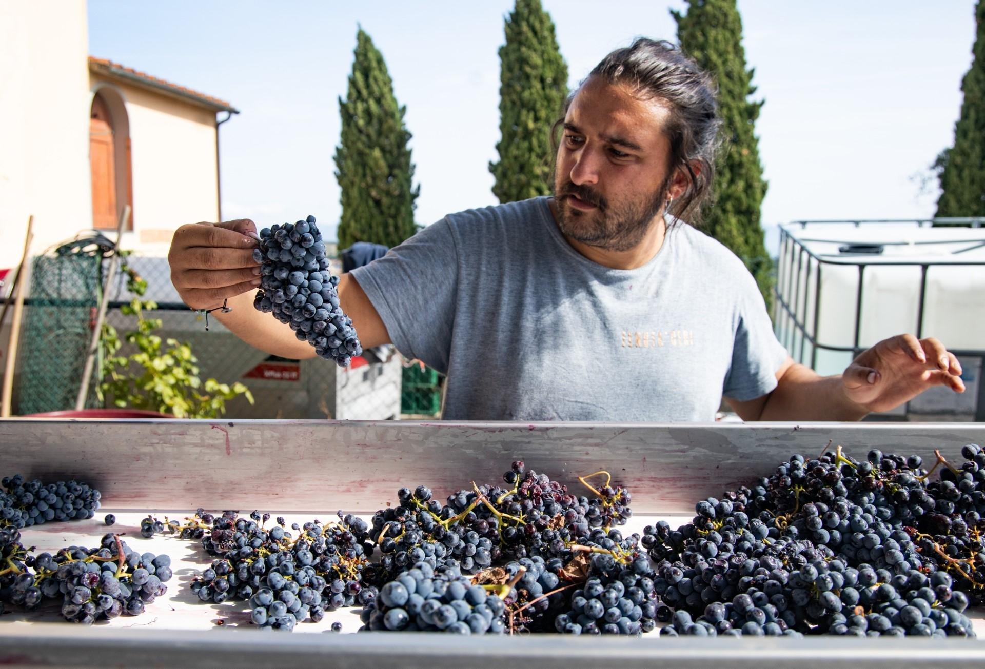 Eccellenza toscana premiata, Tenuta Ceri di Carmignano riceve riconoscimenti Gambero Rosso e Doctor Wine.