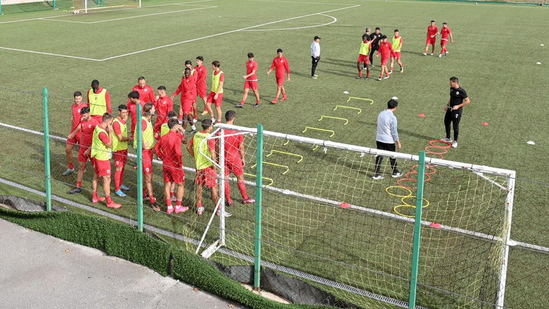 Energe, Cioffi e Spagnoli pronti per l’Arezzo