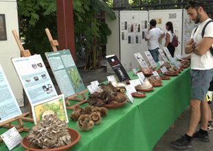 Esposizione micologica sull'affascinante mondo dei funghi all'Orto Botanico.